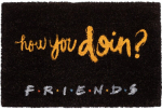 Friends How You Doin'?