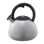 Ambition virdulys Silvery, 3 l