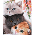 Tapyba pagal skaicius TM Varvikas Three Kittens MG2431e 40x50 cm