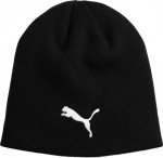 Puma kepurė 02494301