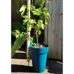 RIVIERA SOLEILLA flower box - Plastic - Height 53 cm - Blue