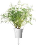 Click & Grow Smart Garden