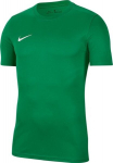 Mar&scaron;kinėliai vyrams Nike, žalia