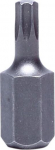 Proline antgaliai Torx T25 3/8" (10mm) L=30mm S2 - 2 vnt.