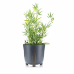 Vazonas ant kojelių Moss ECO, 26x25 cm