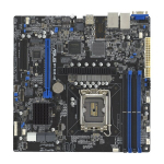 ASUS P13R-M C262 LGA1700 DDR5 Micro-ATX