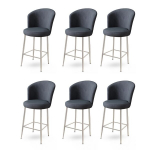 Baro kėdės rinkinys (6 vienetai) Fora - Anthracite, Chrome