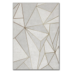 Asir kilimas Asr Crpt-106 120x180 cm