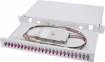 Assman elektroninė DIGITUS 19i FiberOptic Sliding Splice Box