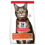 Hill's Science Plan Adult 1-6 su ėriena, 3 kg