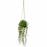 Dirbtinė gėlė vazonėlyje Peperomia, pakabinama, &Oslash; 18 x 62 cm