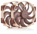 Noctua
