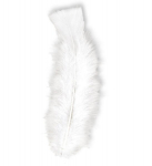Plunksnos baltos 10 cm, 50 vnt