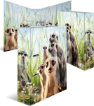 Segregator biurowy A4, 7 cm, z grafiką