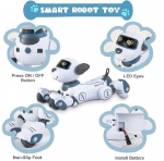 Nuotoliniu būdu valdomas &scaron;uo robotas Happy People, baltas/mėlynas