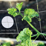Plant Trellis Net &ndash; pagalbinė laipiojimo priemonė kambariniams ir lauko augalams