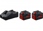 Priedų rinkinys Bosch 1600A02T5W 18 V 2x12,0 Ah akum.