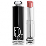Lūpų dažai Dior Addict 250 Charm drėkinantis blizgus rudas atspalvis
