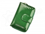 Moteri&scaron;ka piniginė Gregorio GF115 R GF115255575900949005683, Žalia