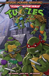 Teenage Mutant Ninja Turtles: Saturday Morning Adventures, Vol. 3, Teenage Mutant Ninja Turtles: Saturday Morning Adventures, Vol. 3