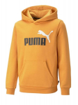 Puma džemperis berniukams Desert