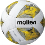 Futbolo kamuolys Training Molten F5A3135-Y, 5