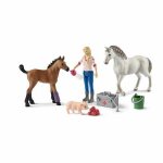 Figūrėlių rinkinys Veterinaro vizitas Schleich Farm World 42486