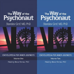 Way of the Psychonaut Vol. 1: Encyclopedia for Inner Journeys