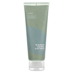 Isntree - Mugwort Calming Clay Mask - 100 ml