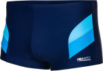 Vyri&scaron;kos maudymosi kelnaitės Aqua Speed Aron, melyna
