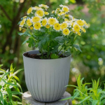 Verdenia Brita 26cm pilkas vazonas su lėk&scaron;te