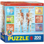 Dėlionė Eurographics, 6200-1000, The Human Body, 200 d.