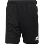 Sportiniai &scaron;ortai vyrams Adidas Condivo 22 Training 39264-283, juodi