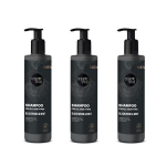 &Scaron;ampūnas visų tipų plaukams Organic Shop vyrams, 3 x 280 ml