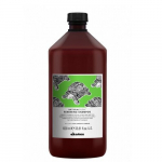 Atkuriantis plaukų &scaron;ampūnas Davines NaturalTech Renewing Shampoo, 1000 ml