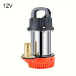 Panardinamasis vandens siurblys 12V/24V sodo laistymui, 12V