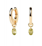 Auksu padengtos apvalios auskarai su pakabukais Green Lily Gold AR01-B91-U