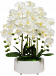 Skamvit dirbtinės orchidėjos gėlės vazone graži orchidėjų kompozicija didelė premium