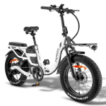 Elektrinis dviratis Fafrees F20 X-Max 20", baltas