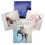 Taro kortos Nature Soul Yoga Wisdom