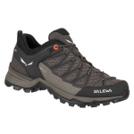 Žygio batai moterims Salewa Mtn Trainer Lite GTX