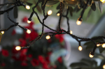 &Scaron;viesos grandinė &bdquo;Cherry&ldquo; 8m, 80 LED &scaron;ilta balta, maitinimo &scaron;altinis, vidaus / lauko IP44