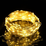 LED lempučių girlianda, 30 m
