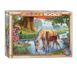 Dėlionė Eurographics, 6000-0976, The Fell Ponies, 1000 d.