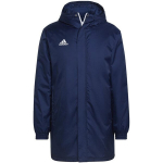 Striukė vyrams Adidas, mėlyna