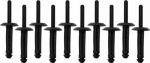 Plastikinės kniedės 6.6x17.2mm, 10 vnt.