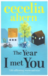 Year I Met You