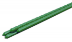 Sodo kuolas 0,8cm x 150cm
