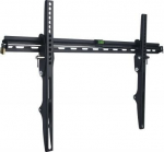 TV laikiklis Techly ICA-PLB 40-65"