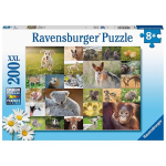 Dėlionė Ravensburger Gyvūnų vaikai, 200 d.